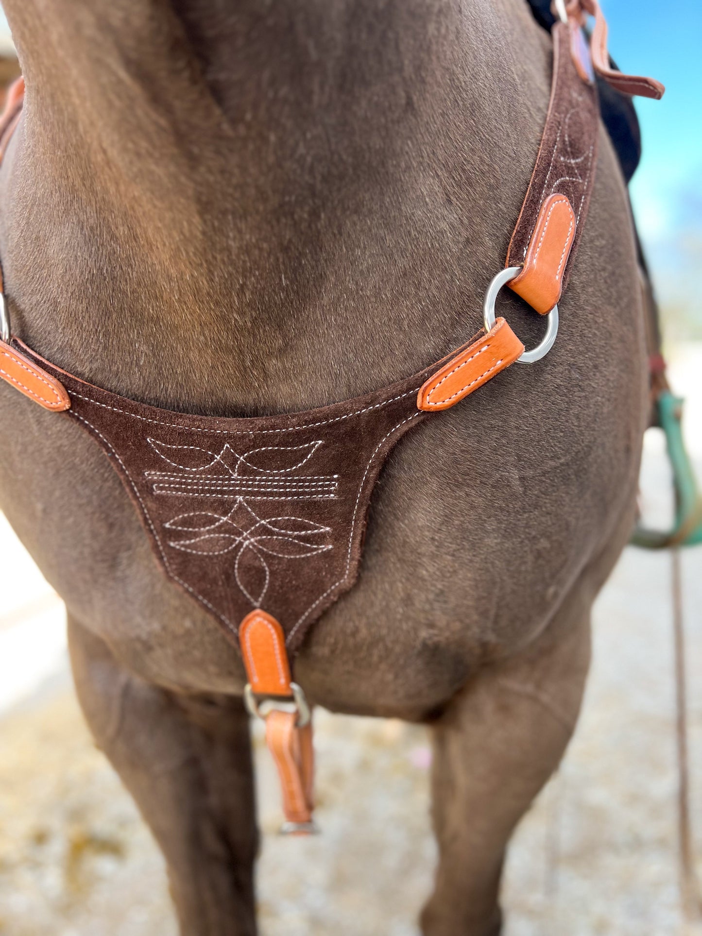 Chocolate Suede Bootstitch Breast Collar