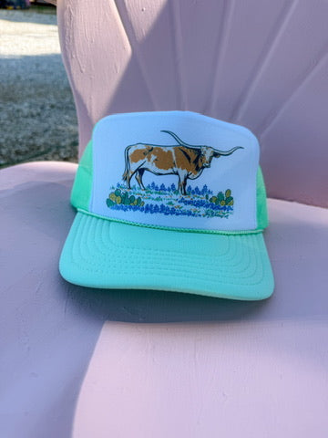 CACTUS LONGHORN CAP: MINT