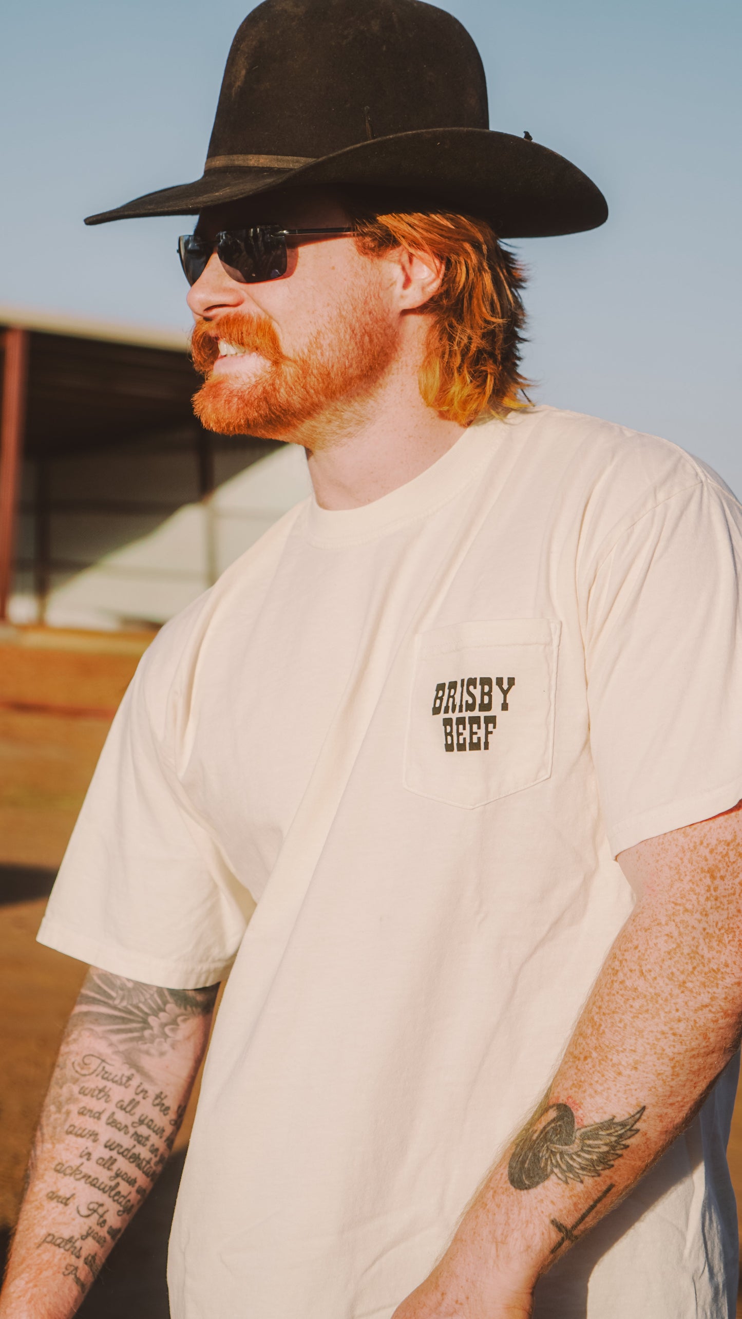 Brisby Beef T