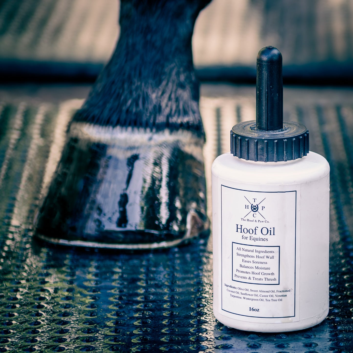 Hoof Oil for Horses - 16oz