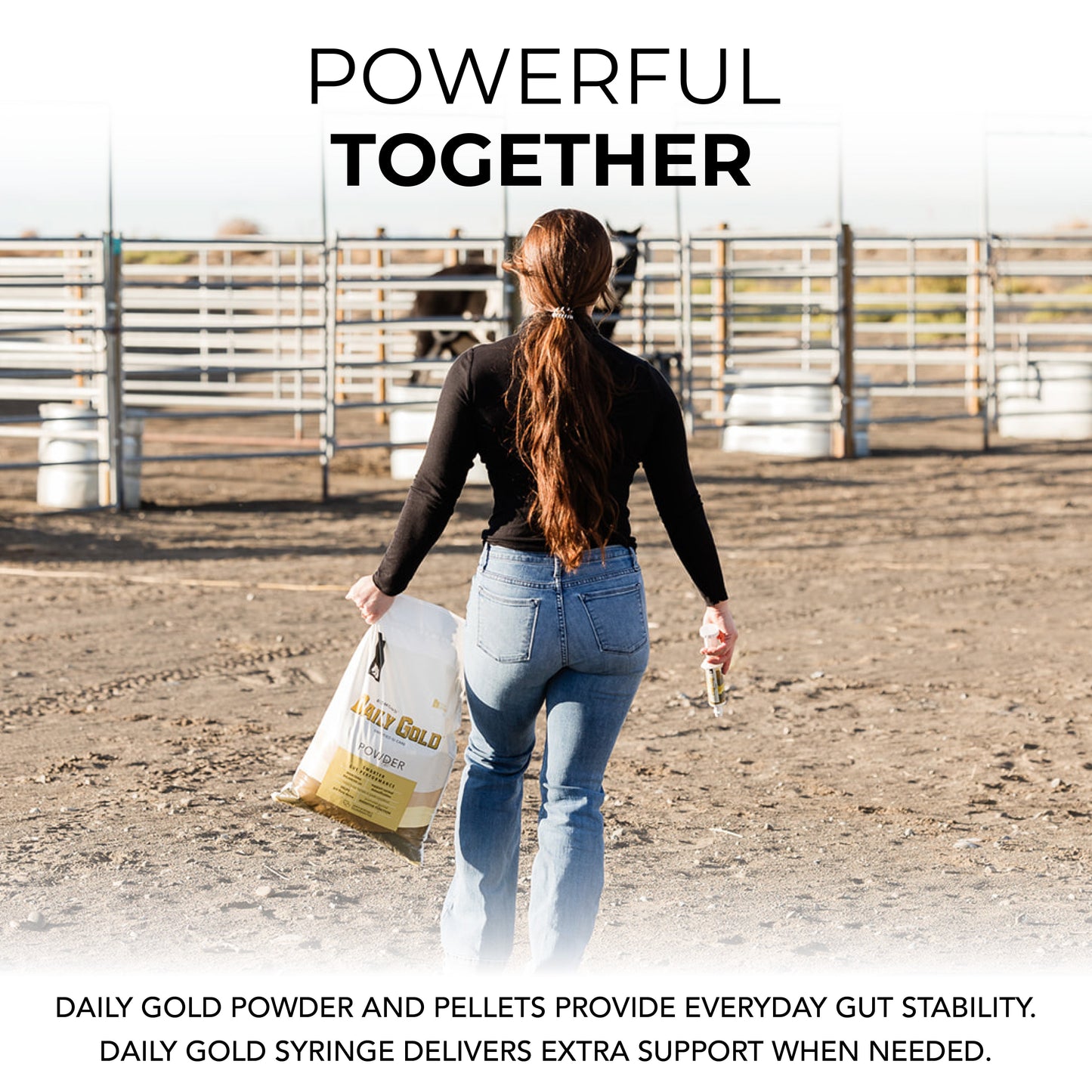 Daily Gold® Paste - Digestive Stress Relief for Horses