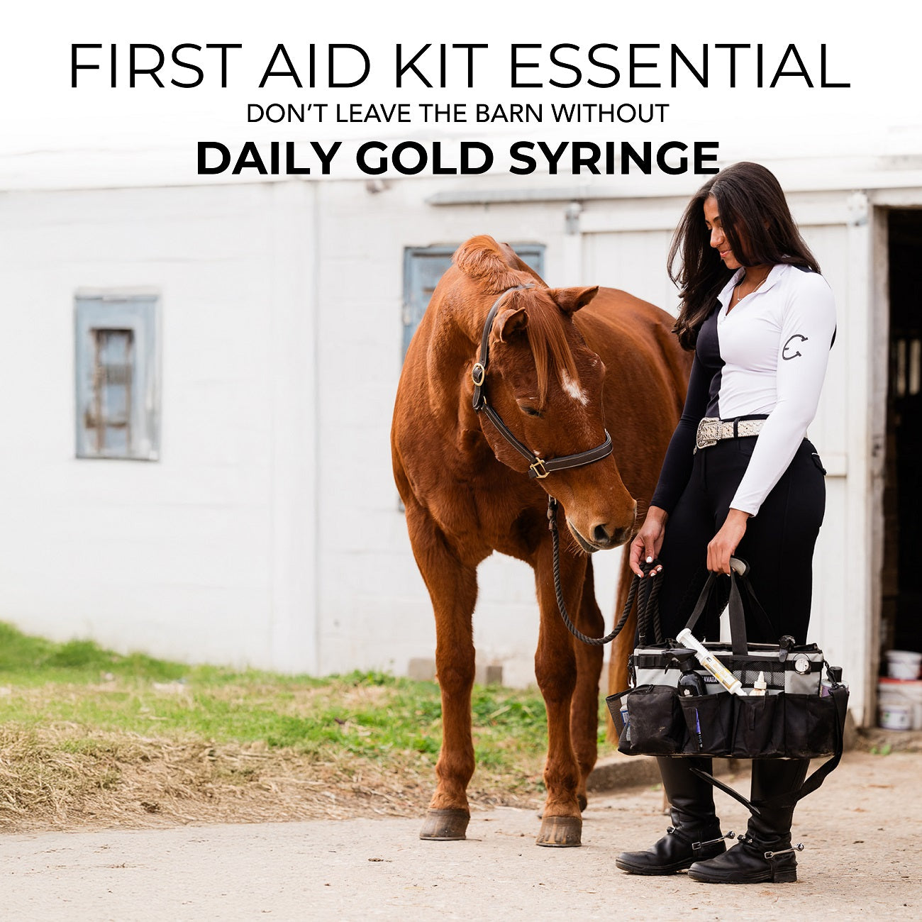 Daily Gold® Paste - Digestive Stress Relief for Horses