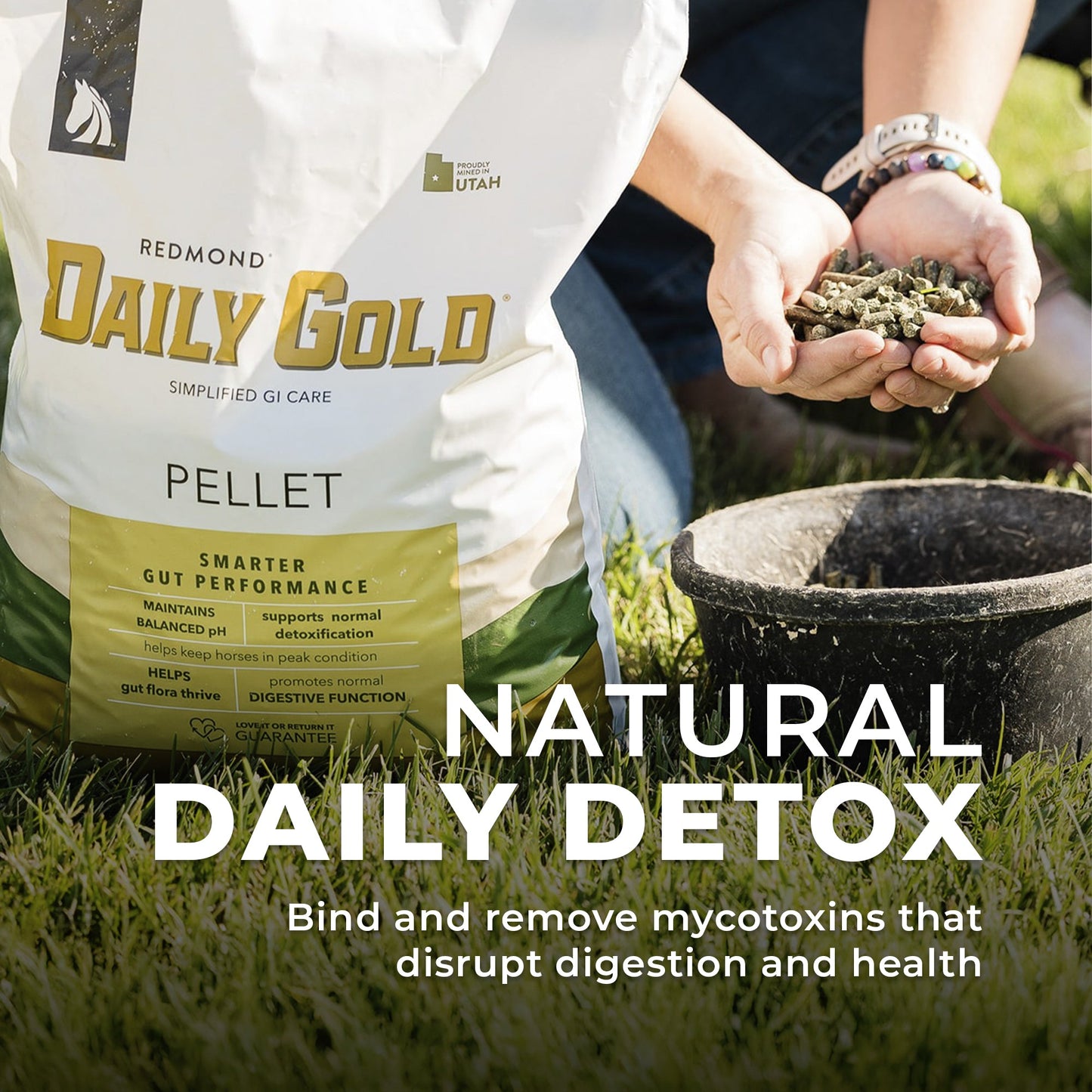 Daily Gold® - Horse Gut Supplements