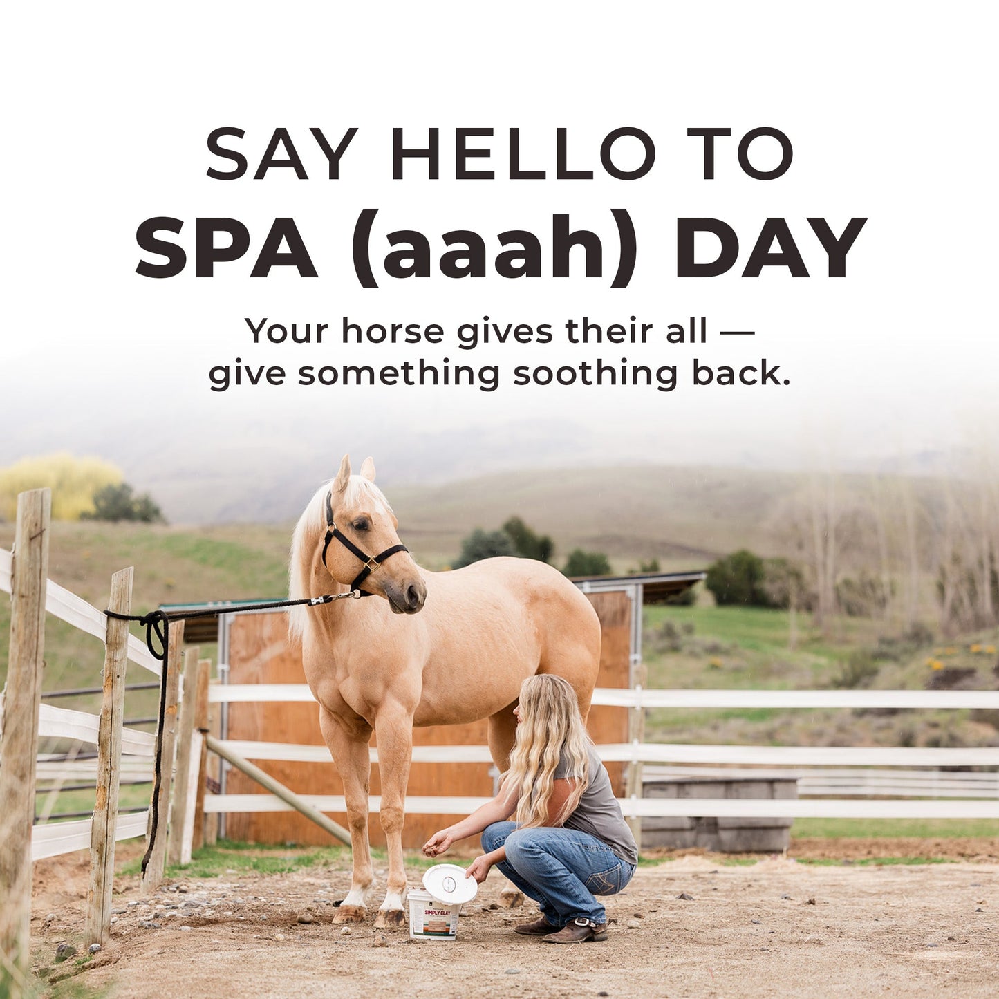 Simply Clay® Horse Poultice