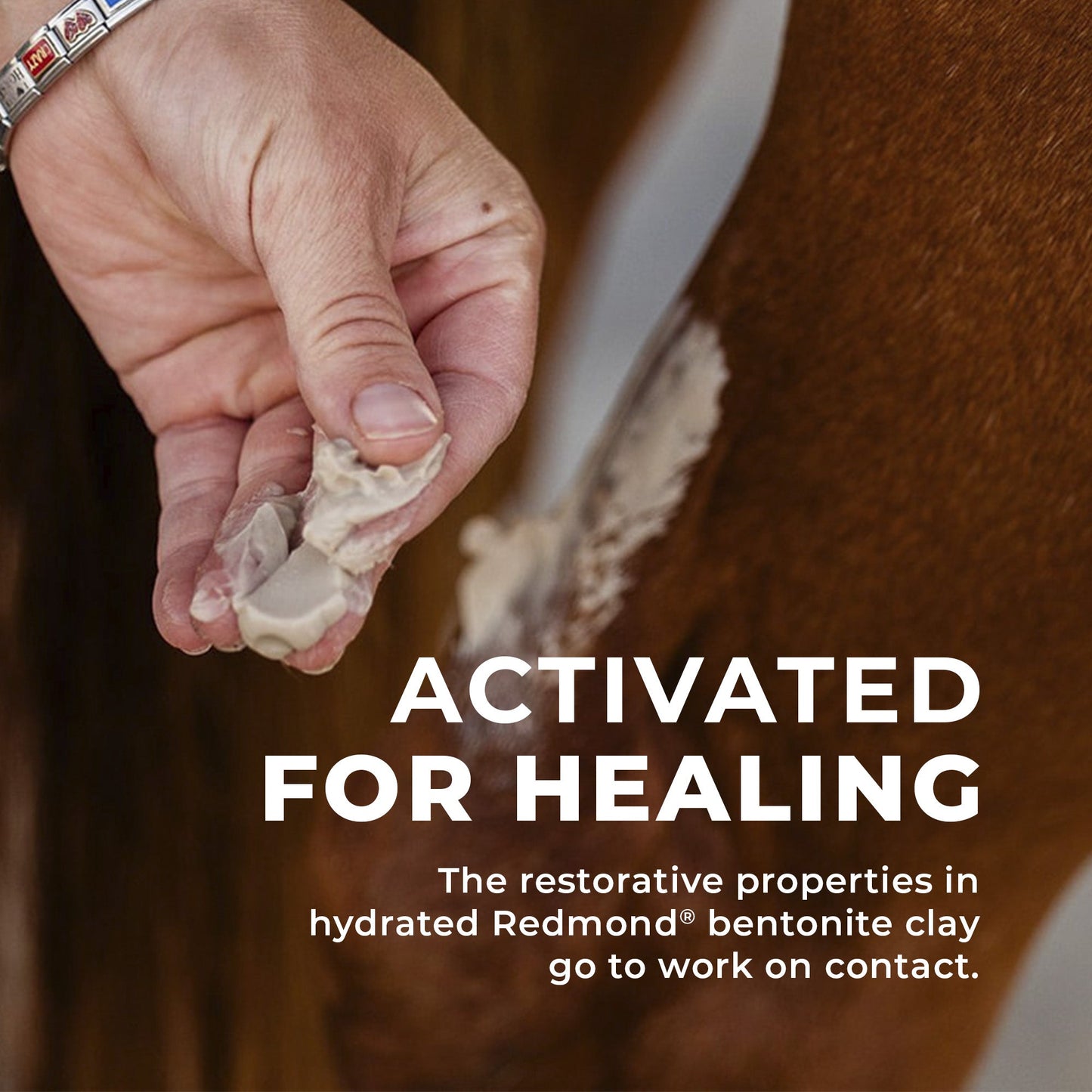 Simply Clay Salve – Bentonite Clay Horse Wound Care