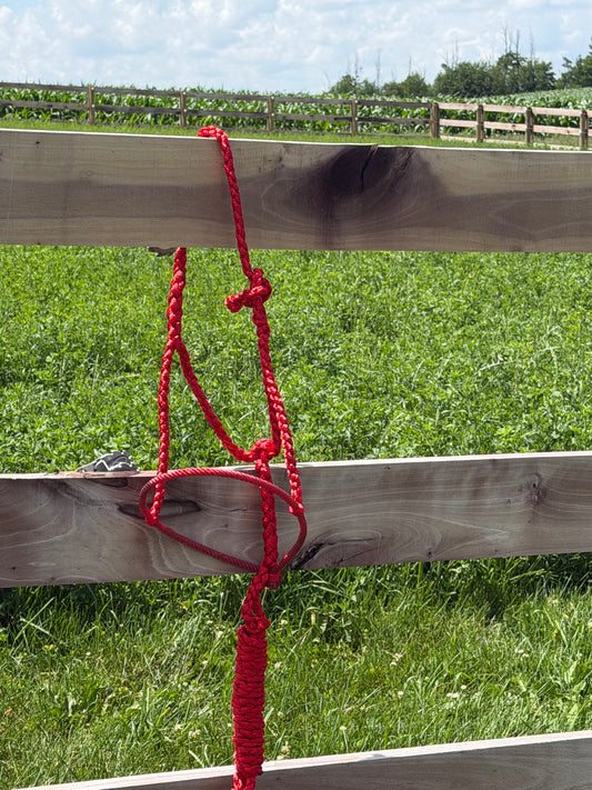 Signature| Red Lariat