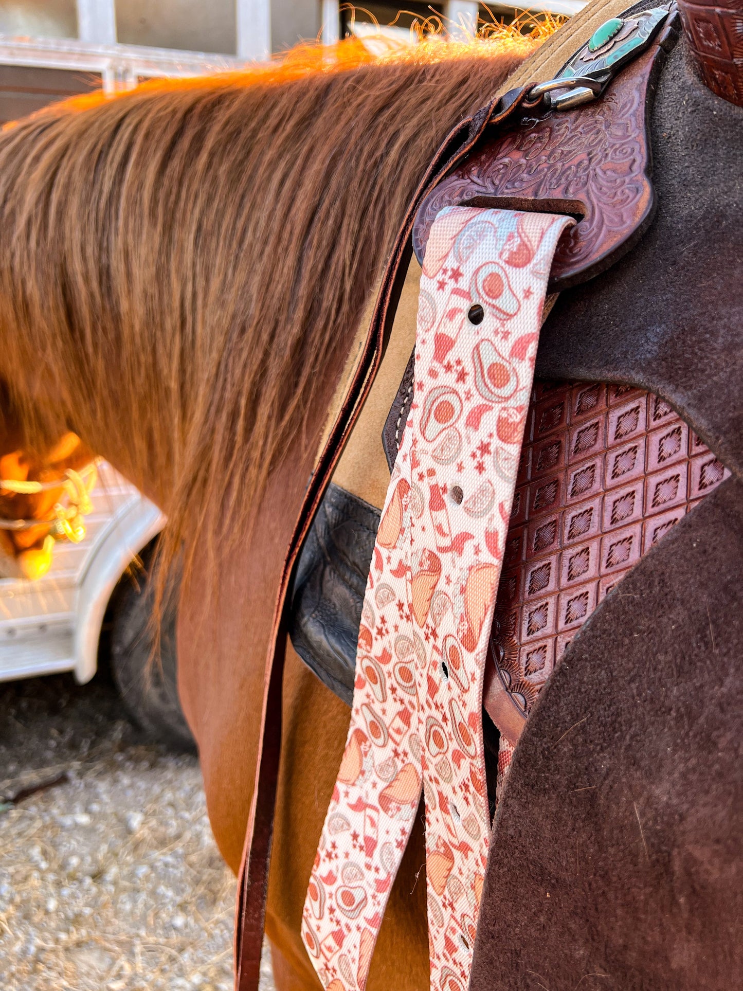 Taco Tuesday Cinch Strap Set