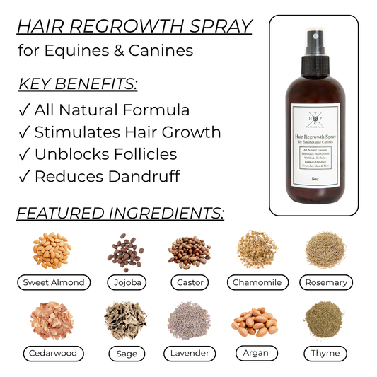 Hair Regrowth Spray for Dogs & Horses
