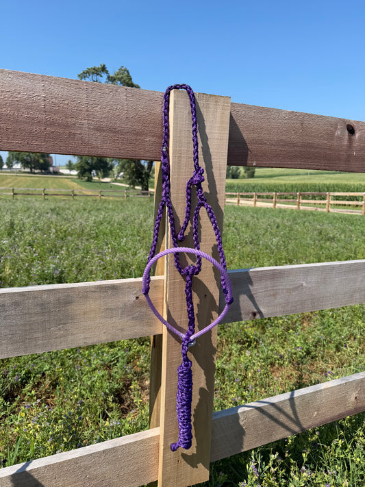 Signautre| Purple Lariat