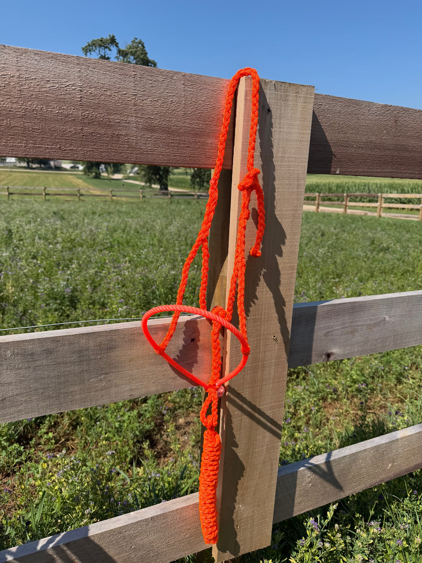 Signature| Orange Lariat