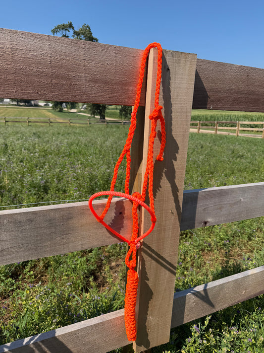 Signature| Orange Lariat