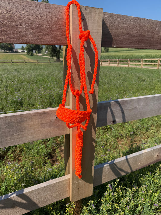 Signature| Orange