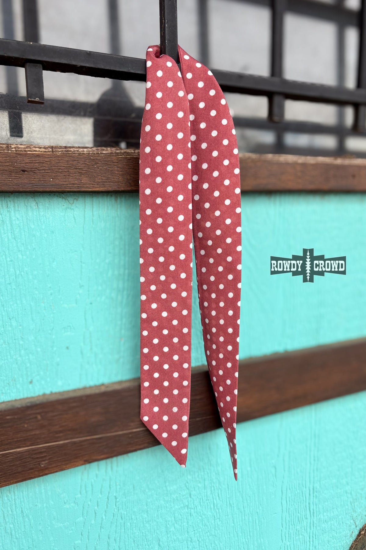 DS Punchy Polka Dot Twillies