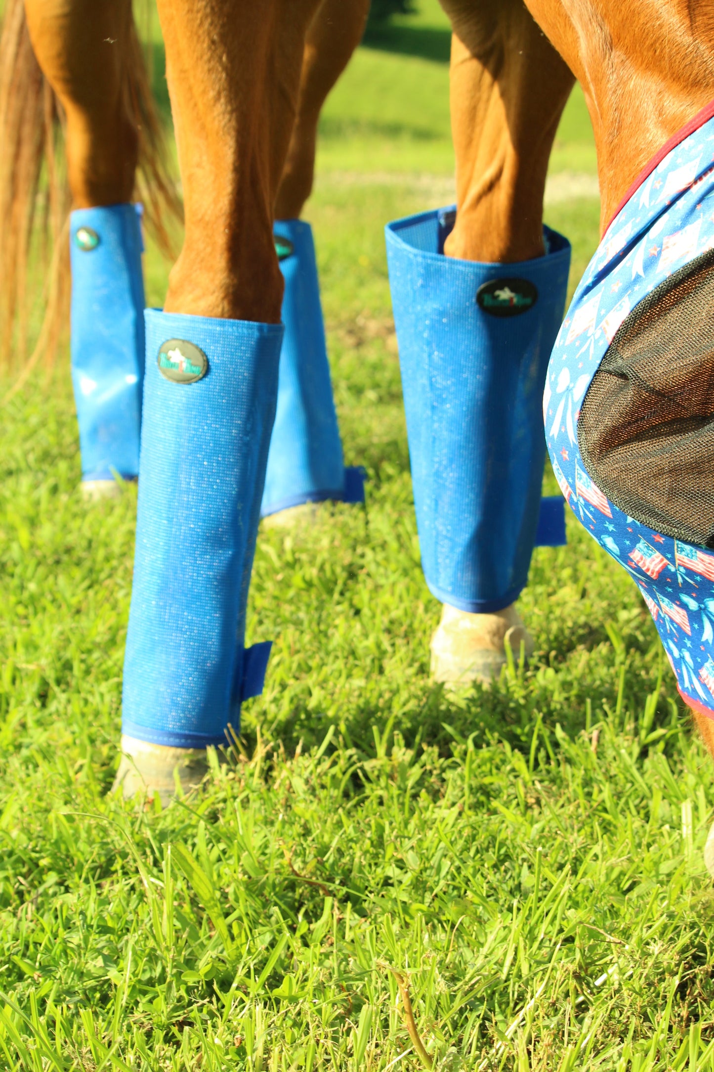 Ocean Blue Fly Boots