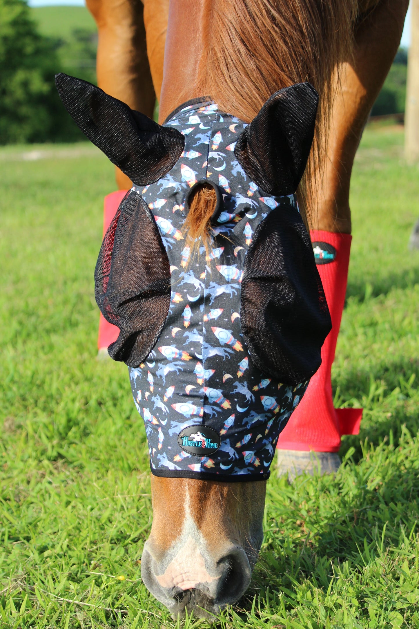 Rocket Donkey Fly Mask