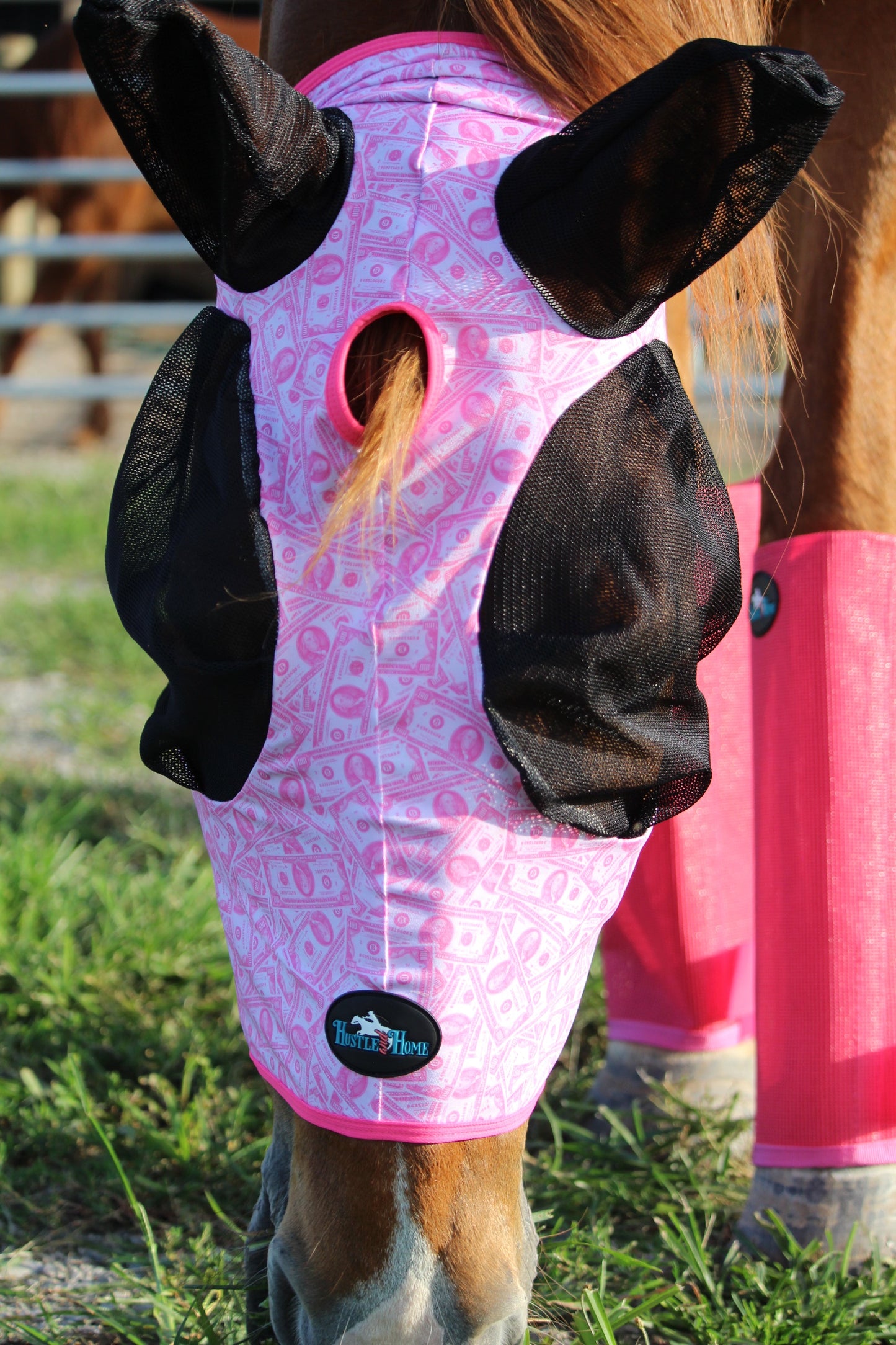 Dash for Cash (Pink) Fly Mask