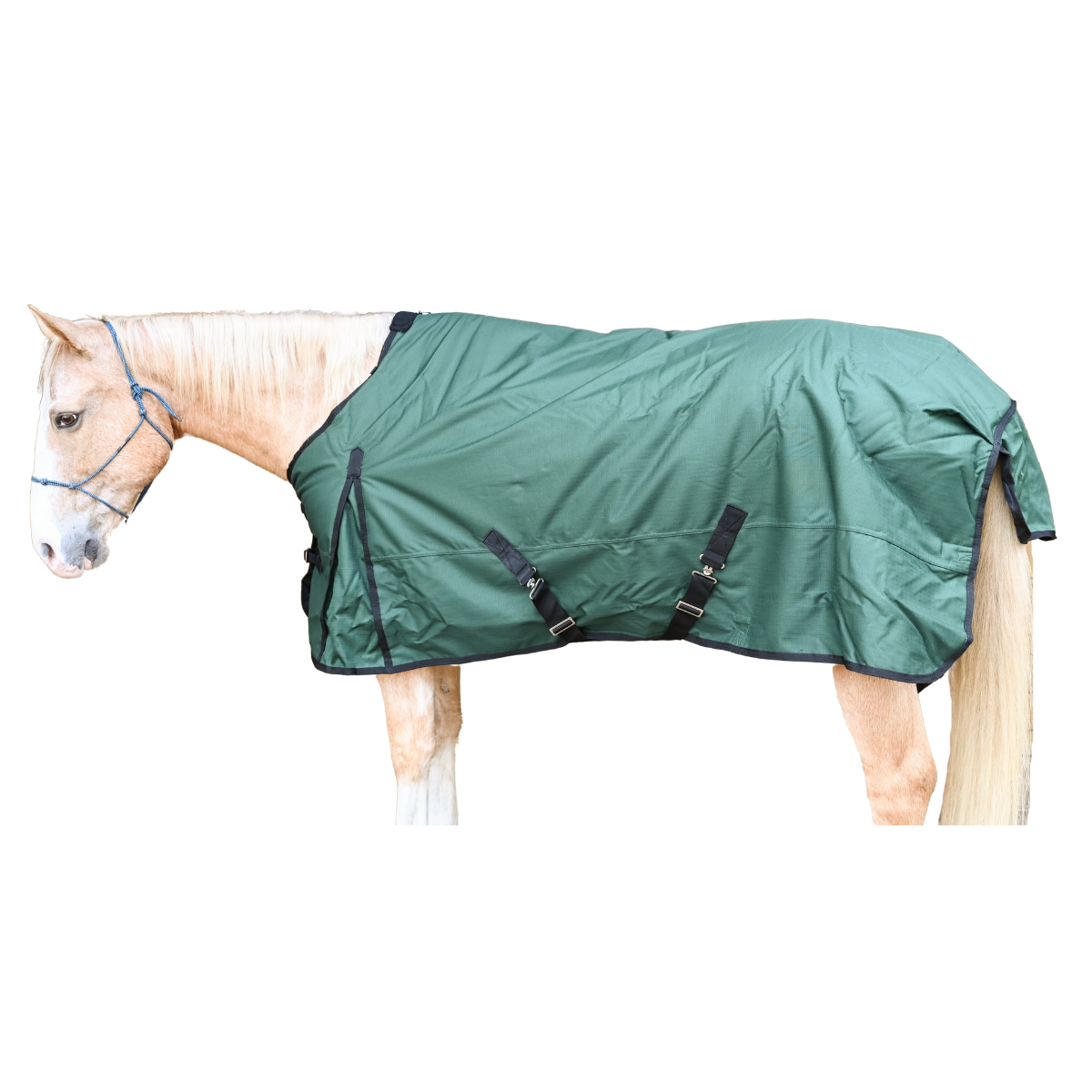 AJ Tack 1200D Waterproof Turnout Horse Blanket 400g - Green
