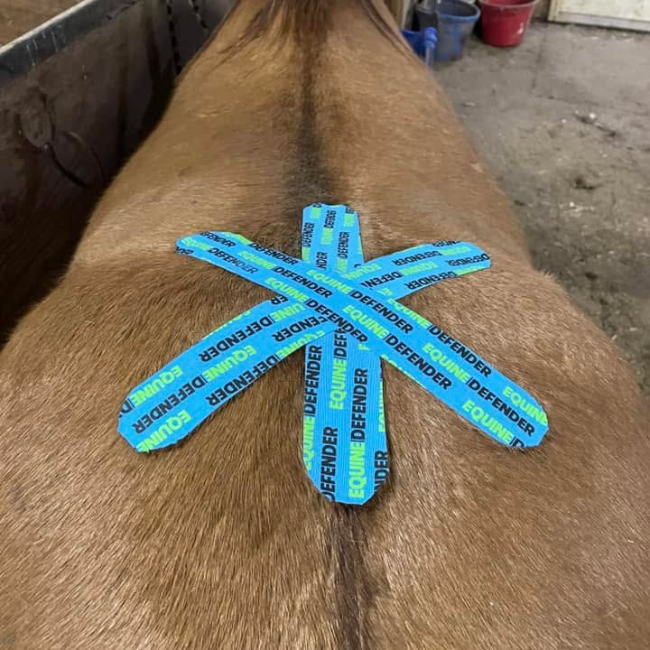 EQUINE|DEFENDER™ K Tape