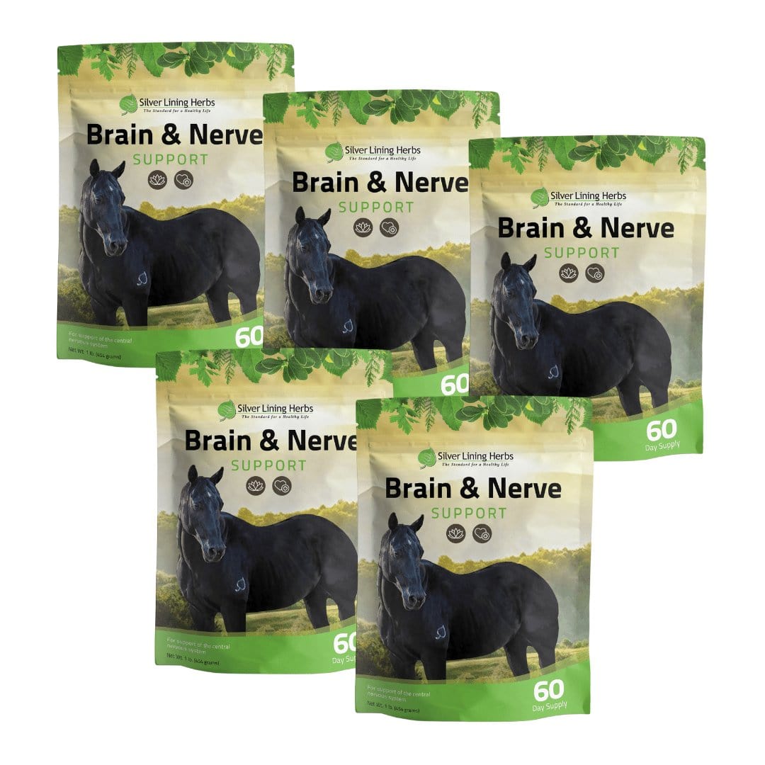 Brain & Nerve Support for Horses