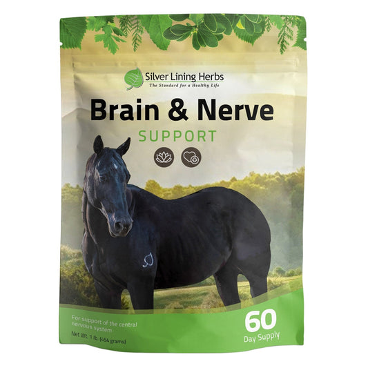 Brain & Nerve Support for Horses