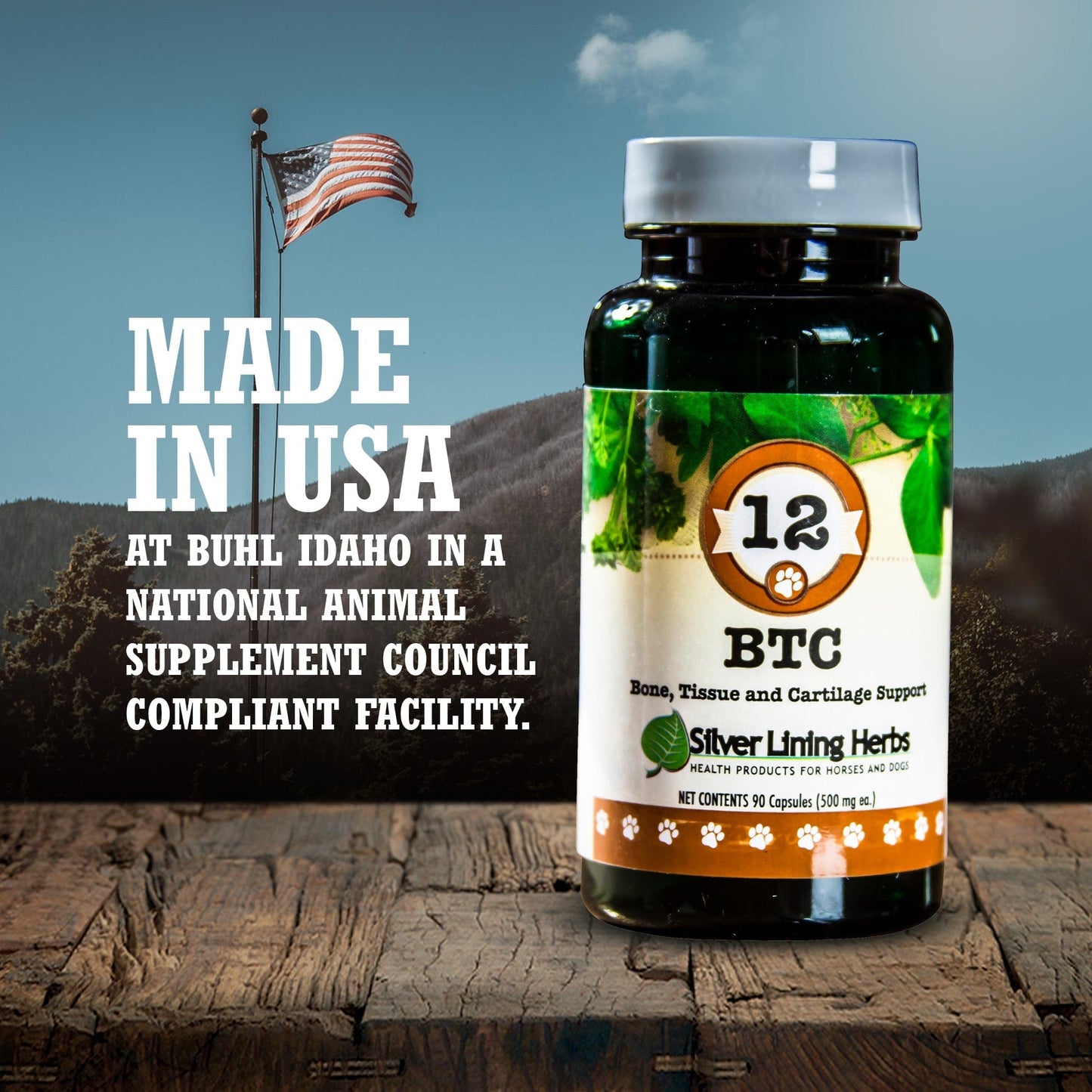 BTC Bone Tissue and Cartilage Support