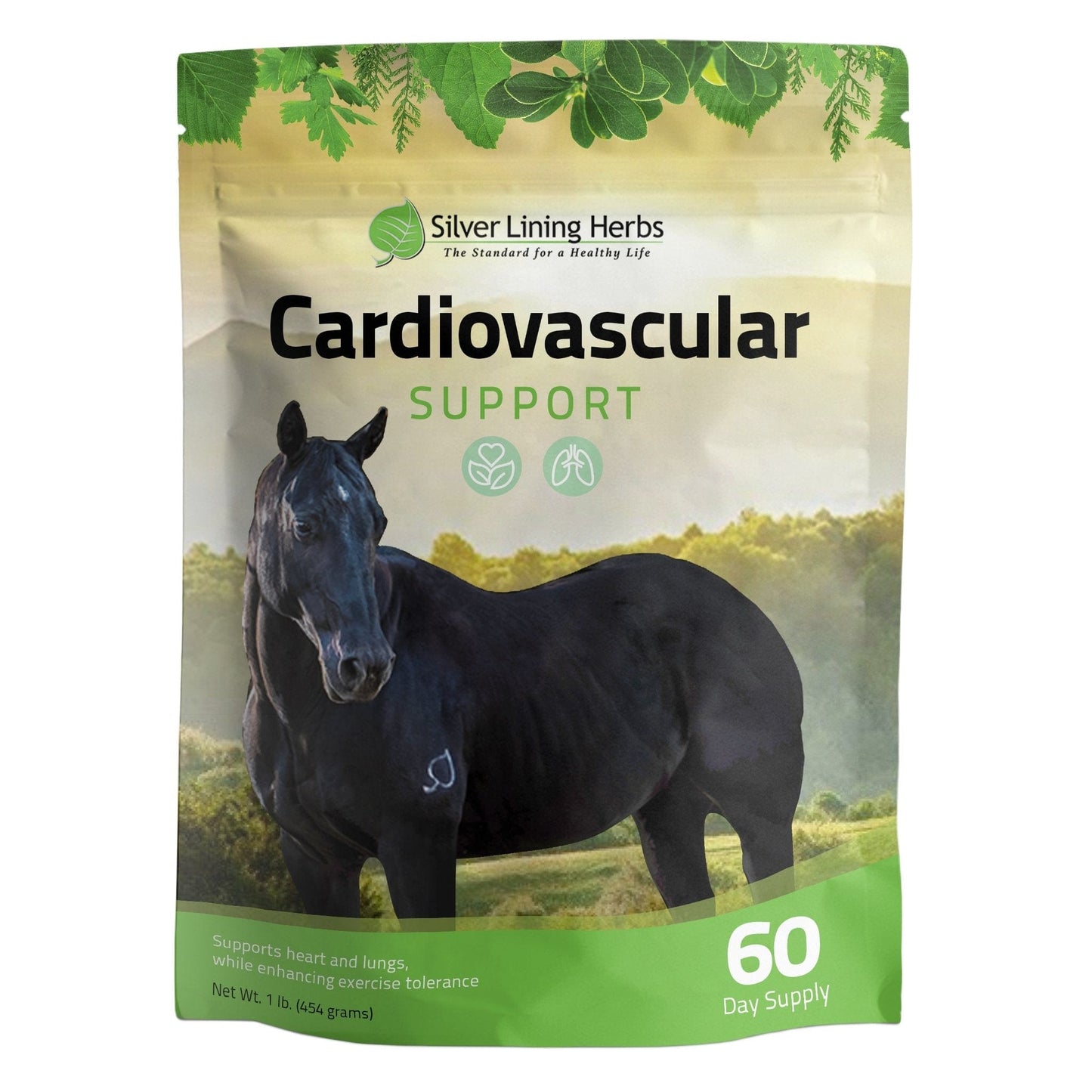 Cardiovascular Support for Horses