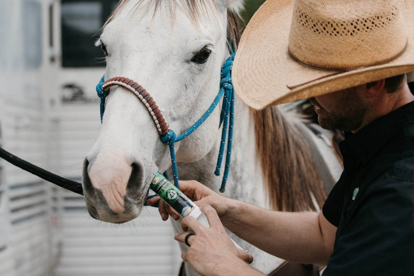 Colic Eaz for Horses