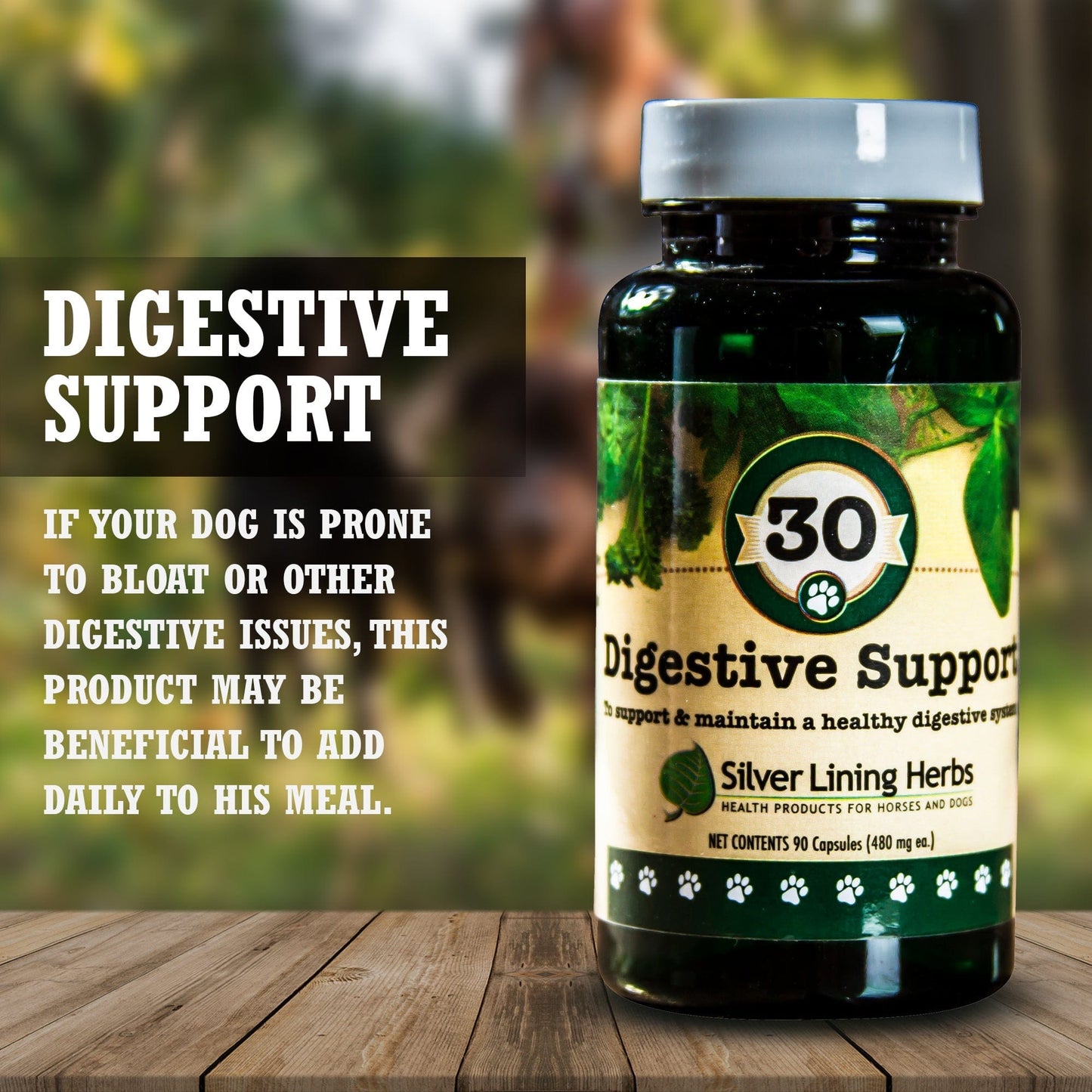 Digestive Support for Canines