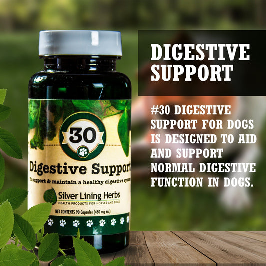 Digestive Support for Canines