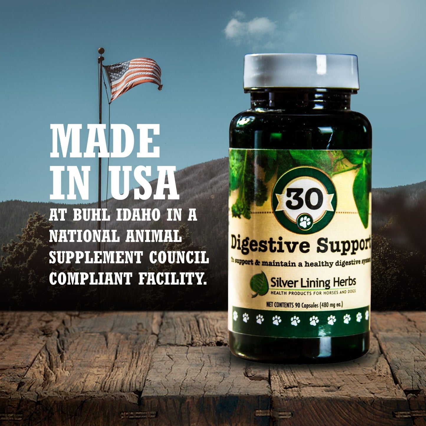 Digestive Support for Canines