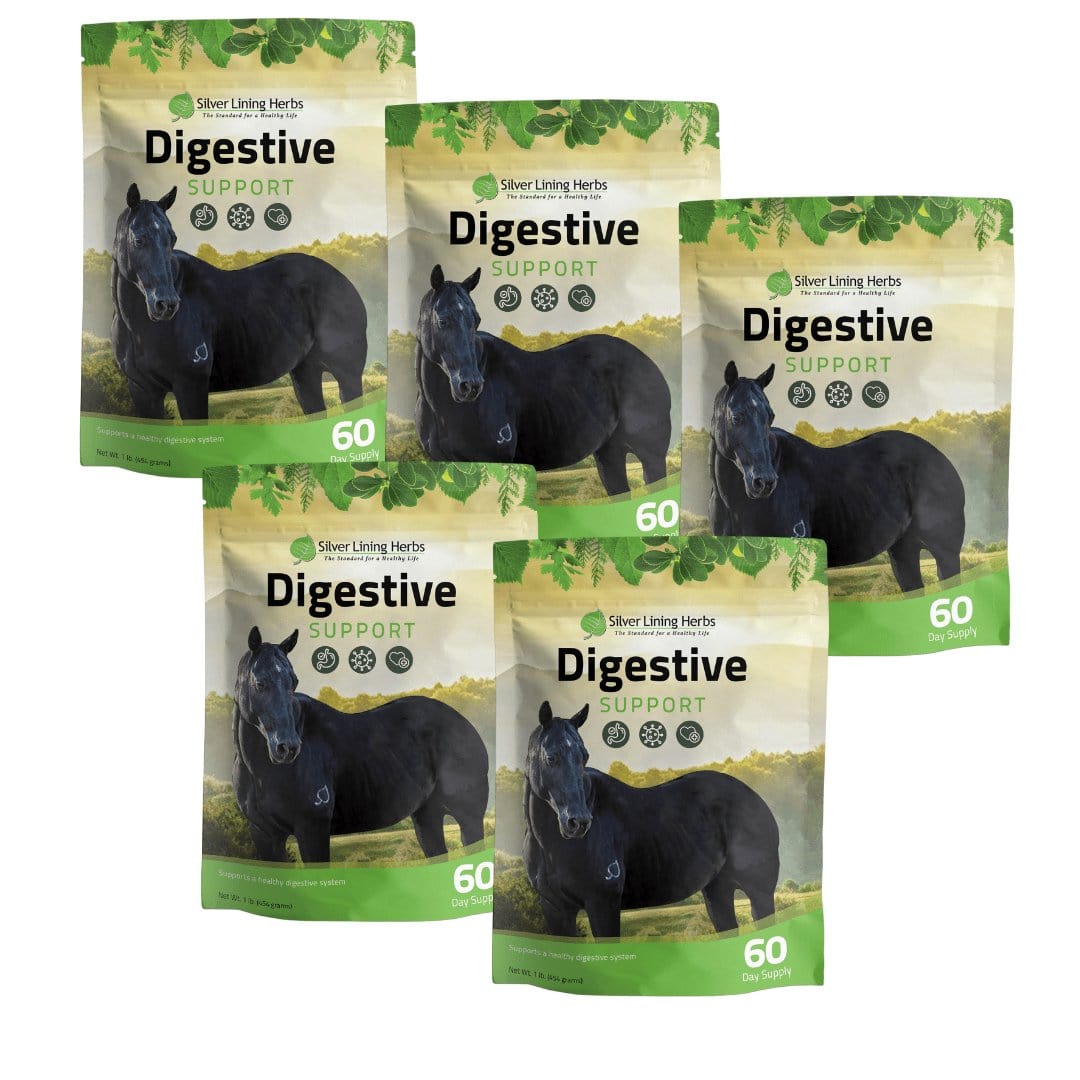 Digestive Support for Horses