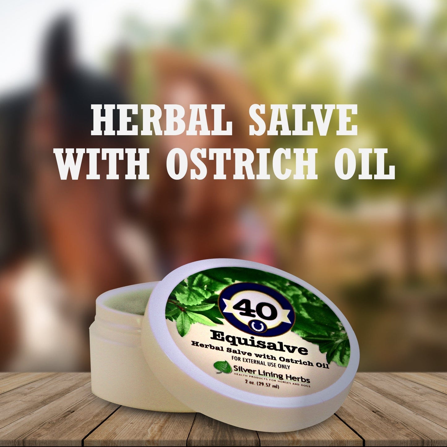 Equisalve For Horses