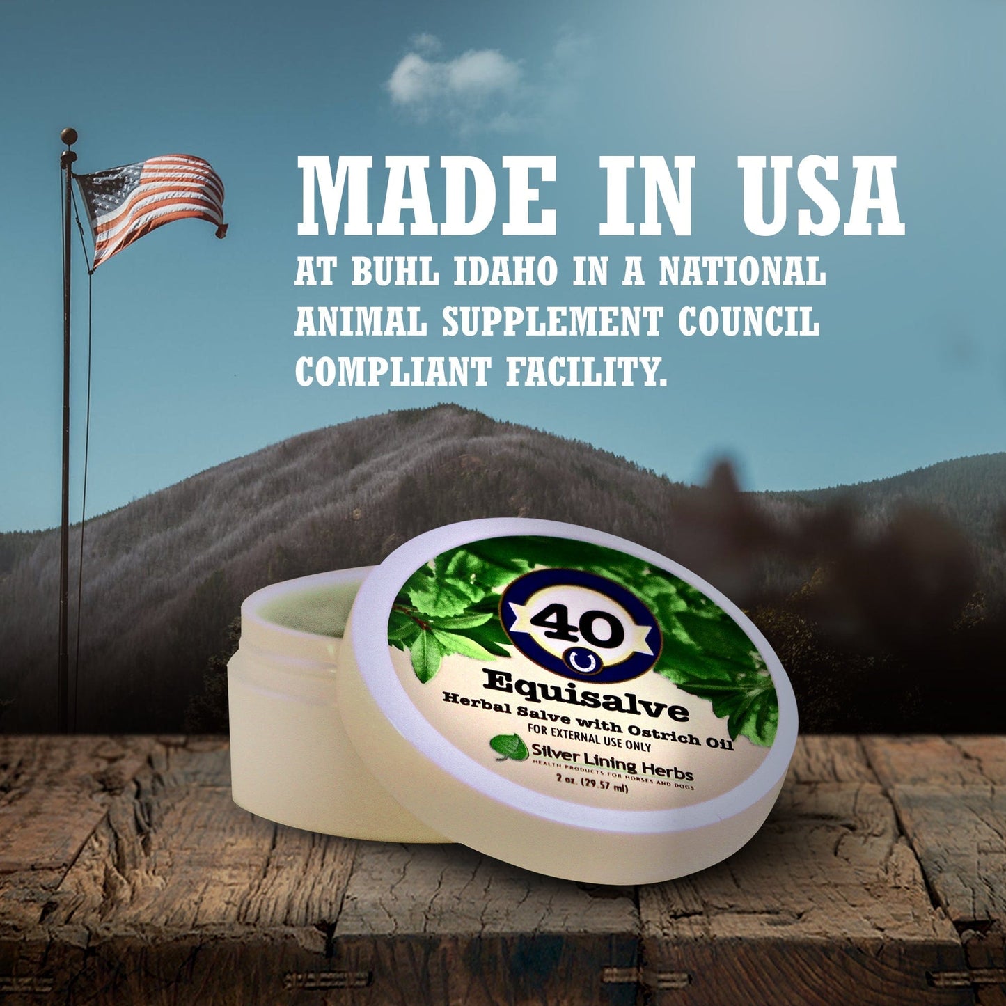 Equisalve For Horses