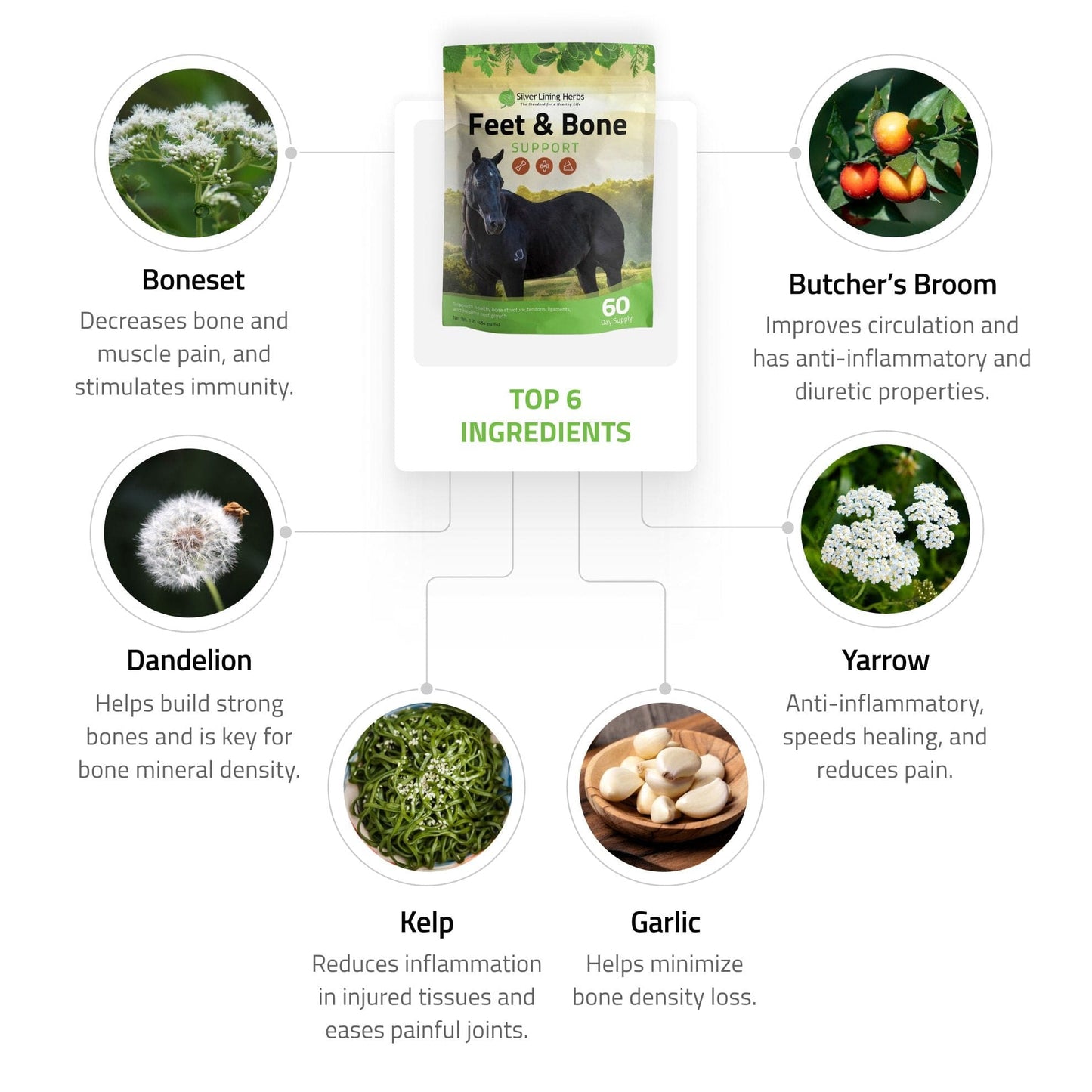 Feet & Bone Support for Horses