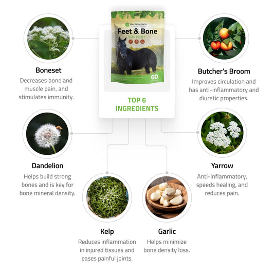 Feet & Bone Support for Horses