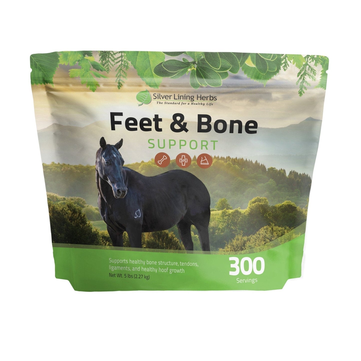 Feet & Bone Support for Horses