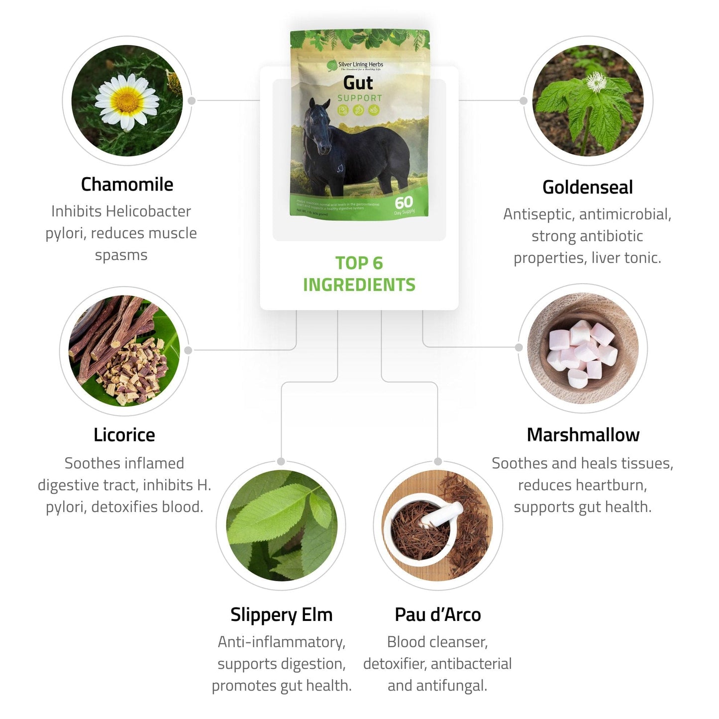 Gut Support for Horses