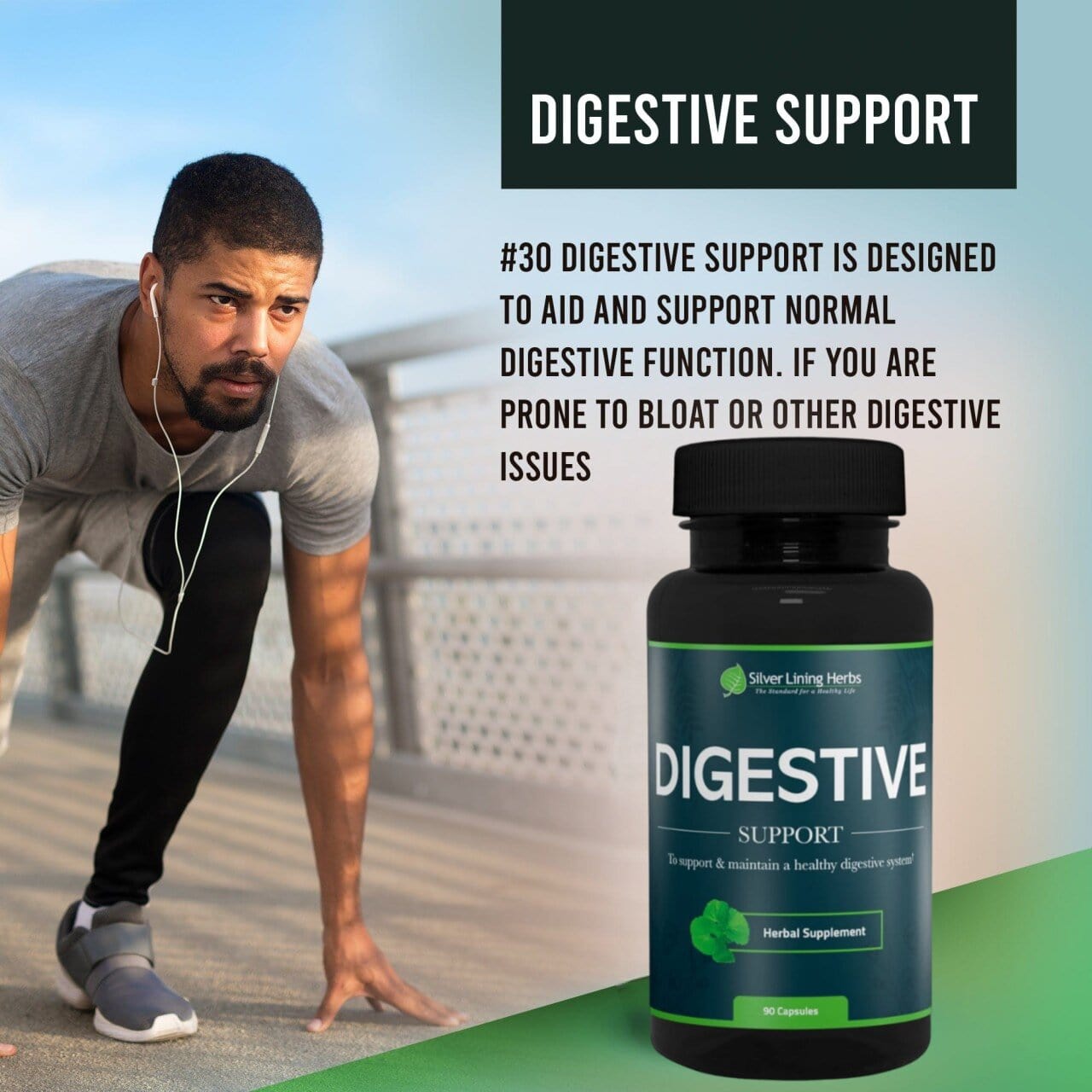 Herbal Digestive Support For Humans