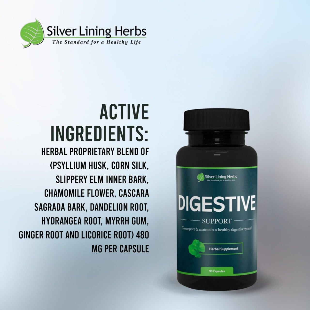 Herbal Digestive Support For Humans