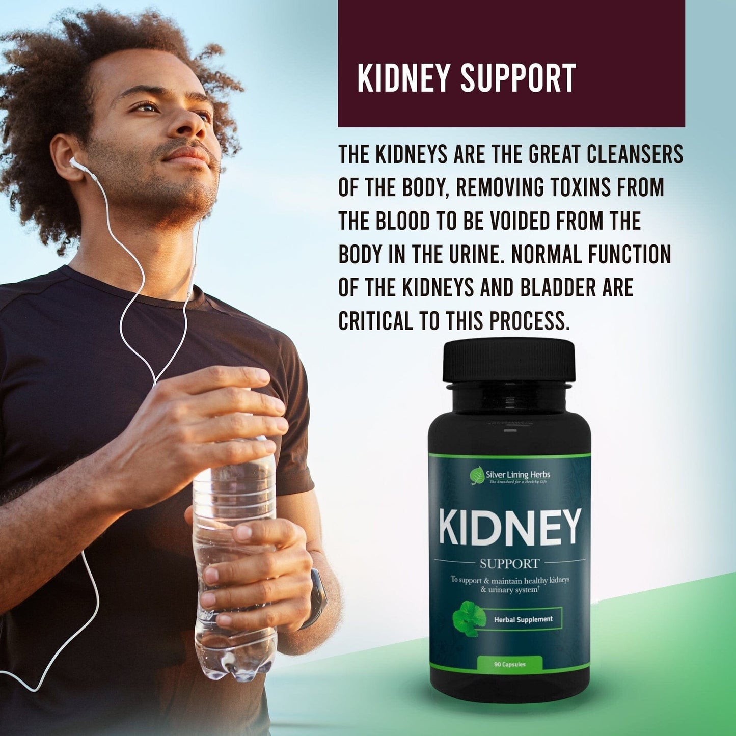 Herbal Kidney Support For Humans