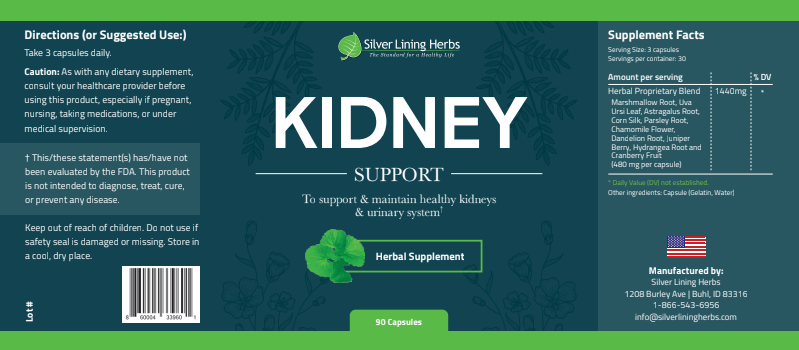 Herbal Kidney Support For Humans