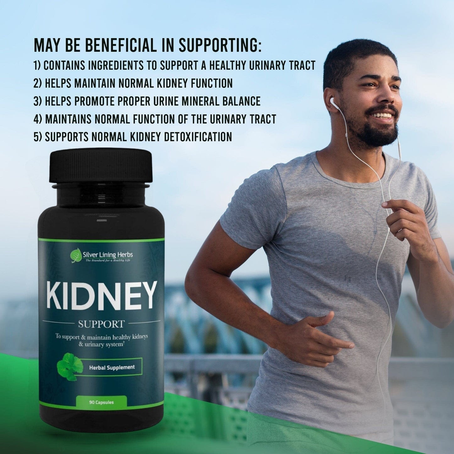 Herbal Kidney Support For Humans