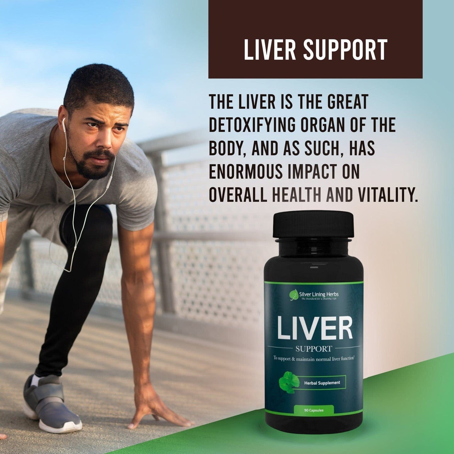 Herbal Liver Support For Humans
