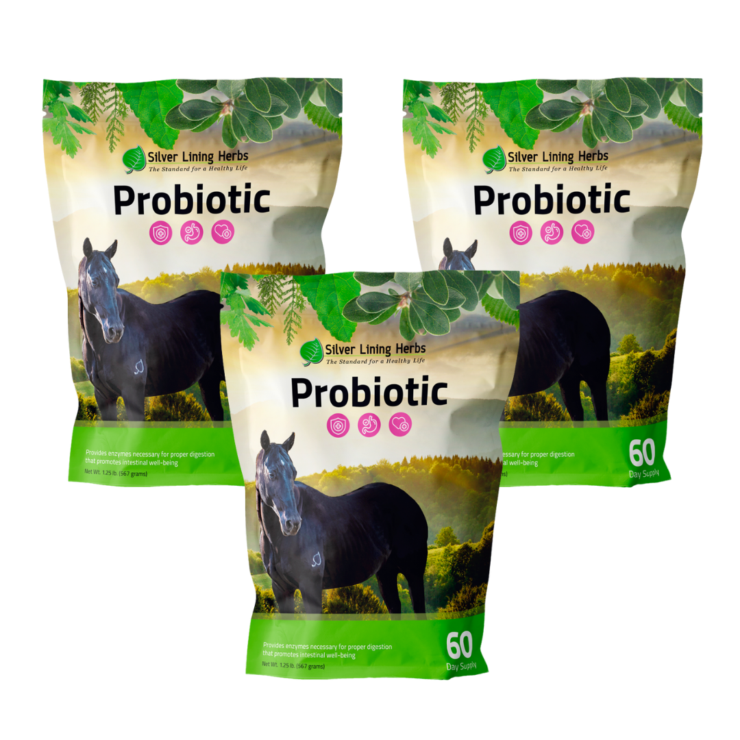 Horse Probiotics