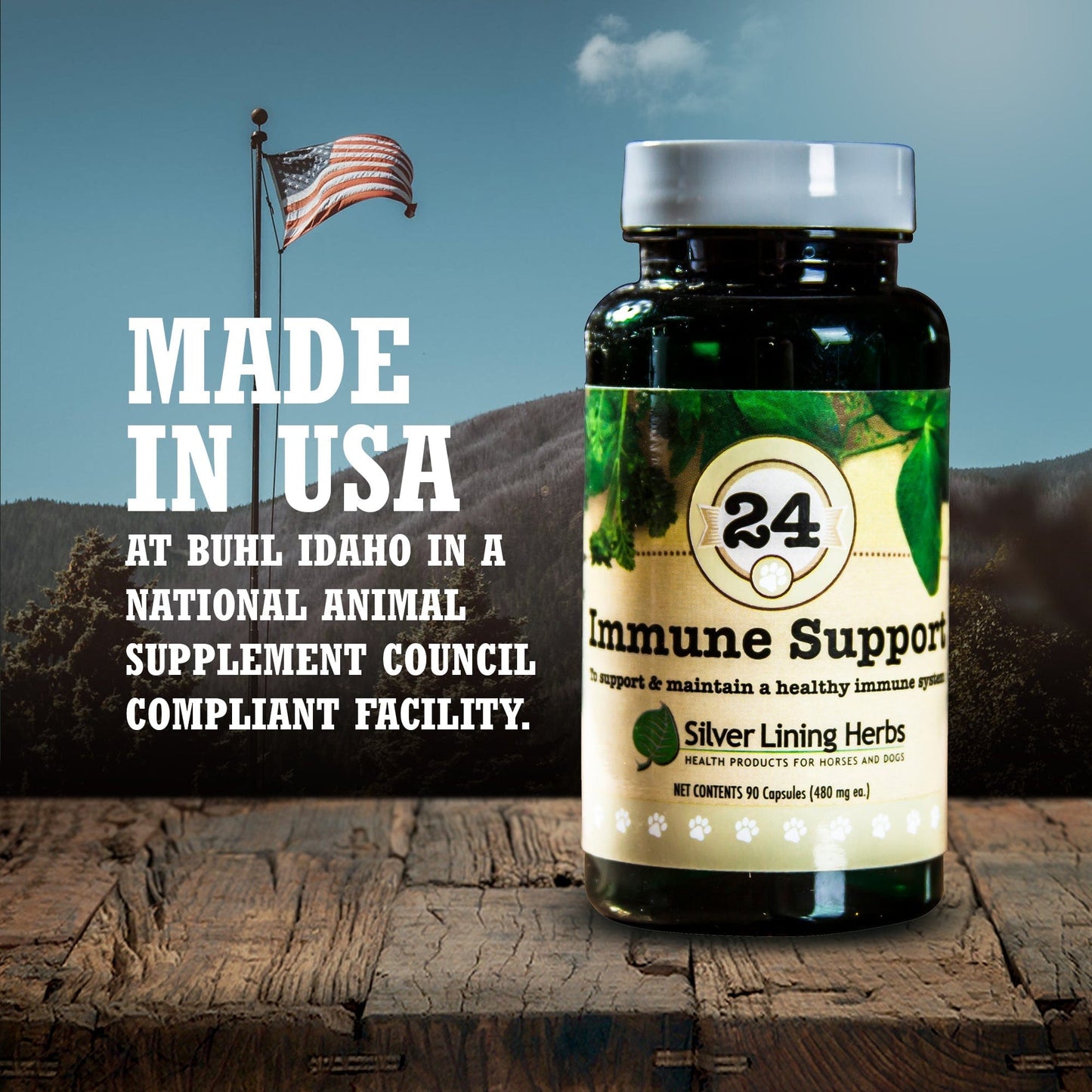 Immune Support for Canines