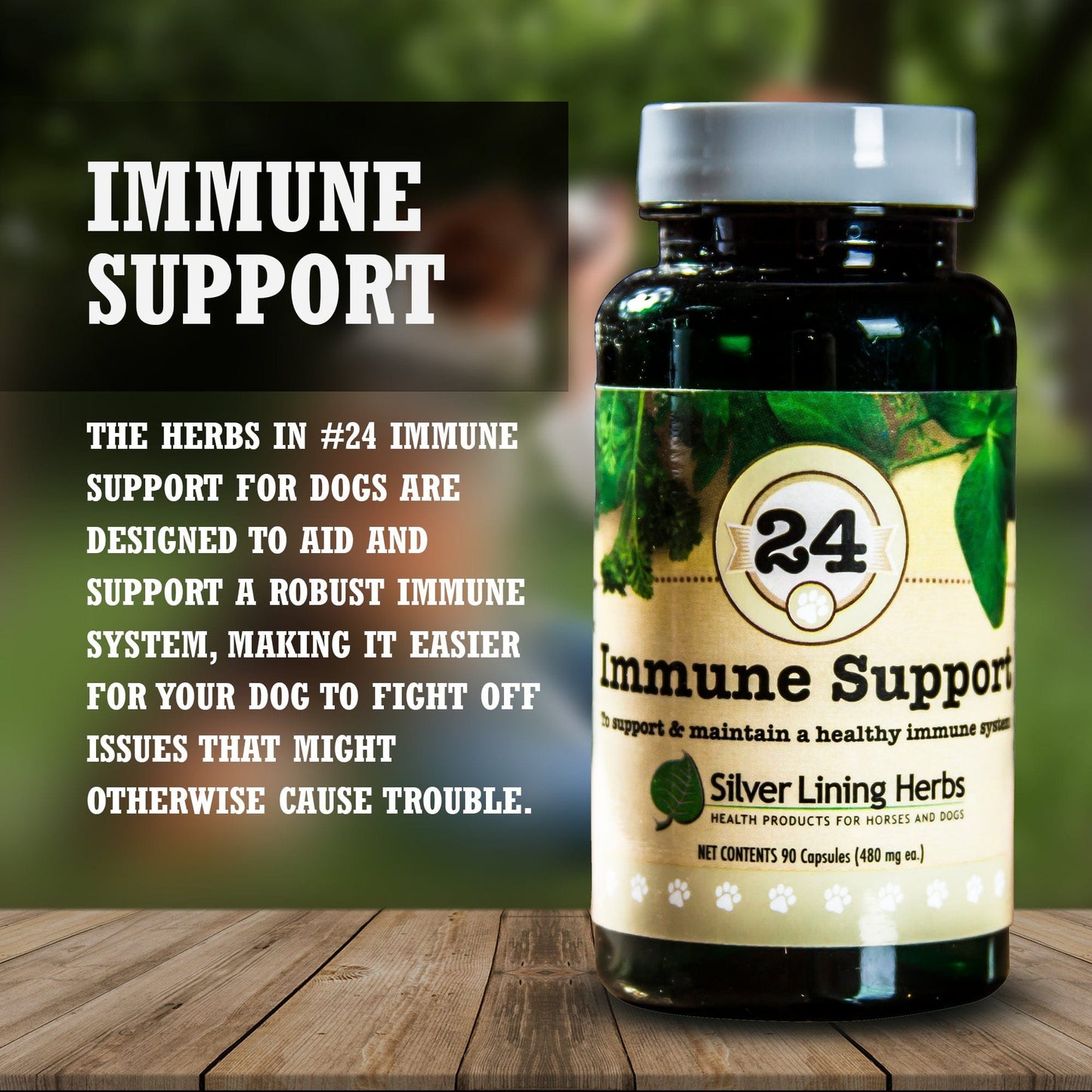 Immune Support for Canines