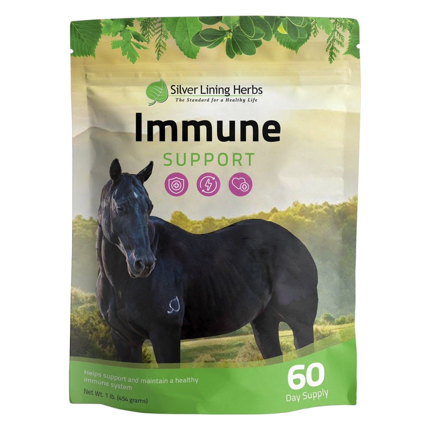 Immune Support for Horses