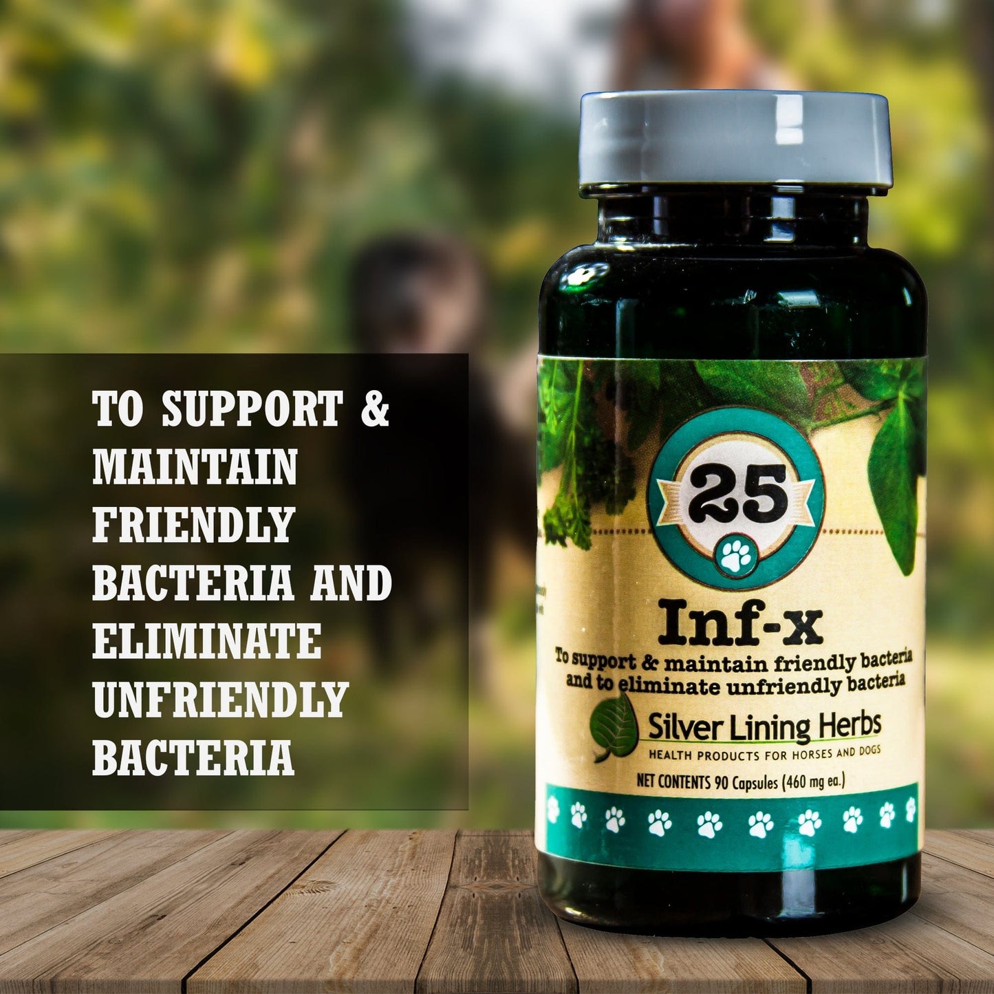 INF-X for Canines - 90 Capsules
