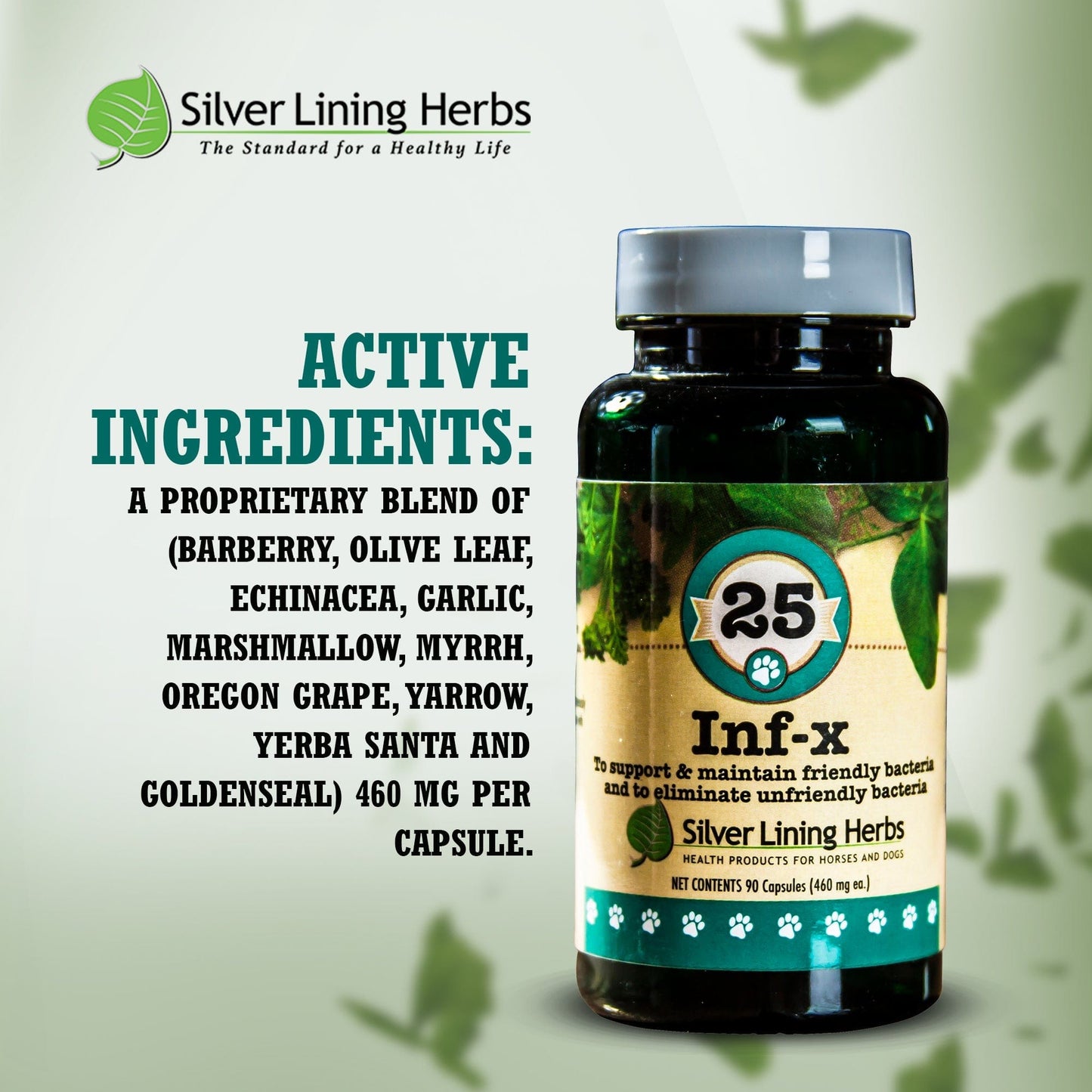 INF-X for Canines - 90 Capsules
