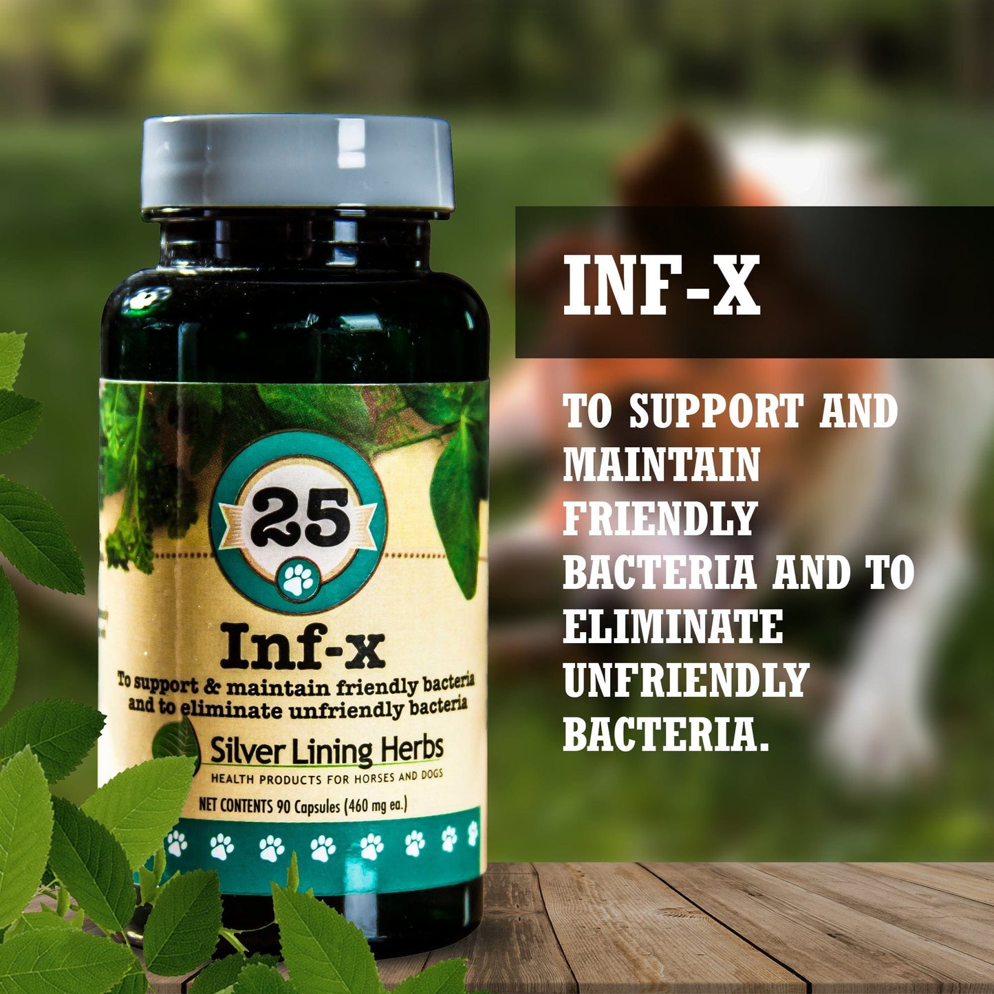 INF-X for Canines - 90 Capsules